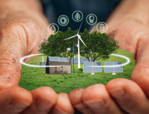 How to Live a Sustainable and Eco-Friendly Lifestyle